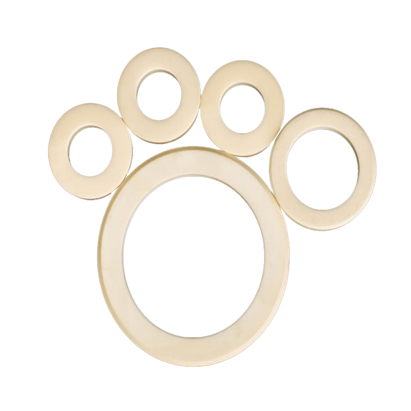 Alumina Ceramic Ring